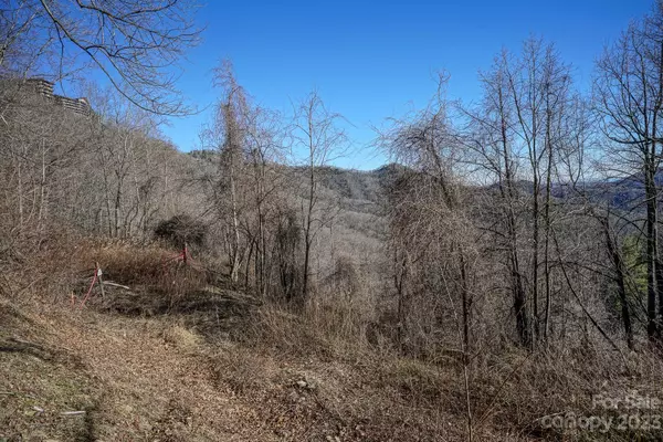 Blowing Rock, NC 28605,Lot 5 Scenic None