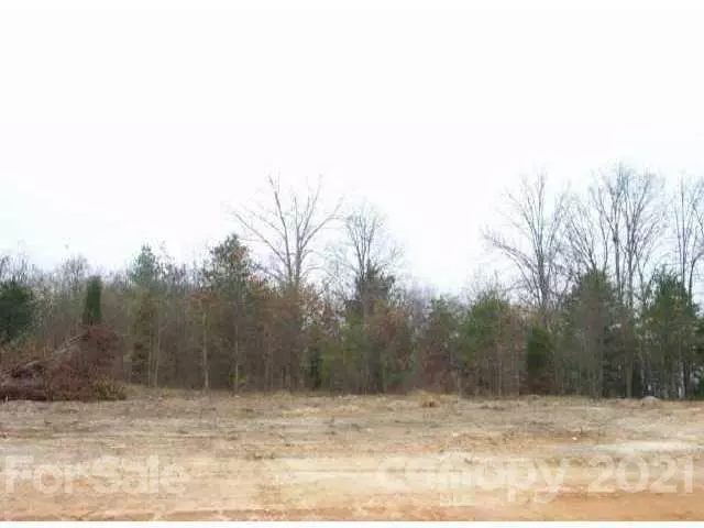 Lincolnton, NC 28092,Lot 7 Petes RD