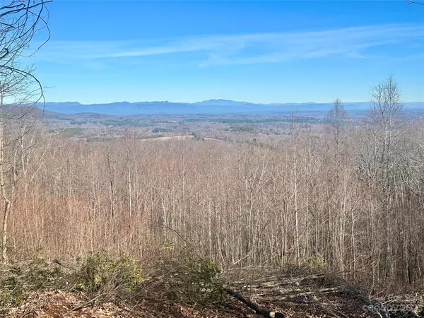 Nebo, NC 28761,34 Placid View DR #149