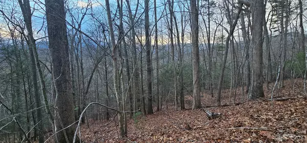 Waynesville, NC 28785,Lot 10 Seay Mountain RD
