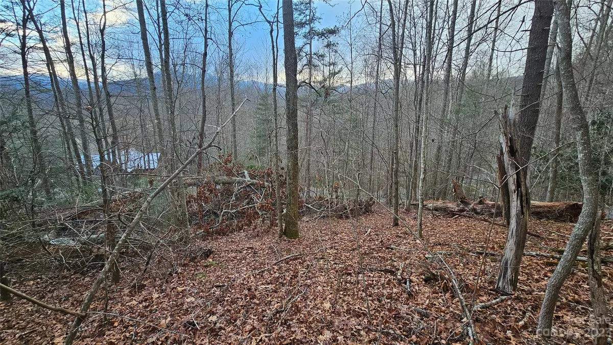 Waynesville, NC 28785,Lot 13 Seay Mountain RD