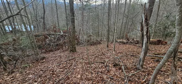 Waynesville, NC 28785,Lot 13 Seay Mountain RD