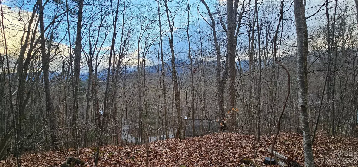 Waynesville, NC 28785,5 Lots Seay Mountain RD