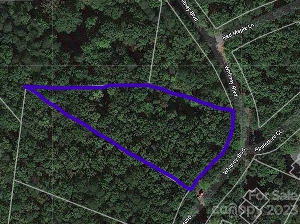 Lot 6 Whitney BLVD, Lake Lure, NC 28746