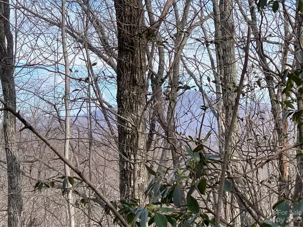 Tryon, NC 28782,00 Melrose Mountain RD #615 &616