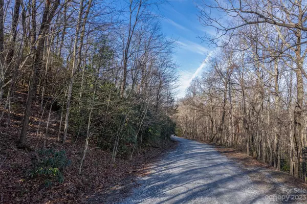 Tryon, NC 28782,00 Melrose Mountain RD #615 &616