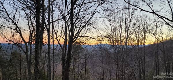 0 Pinnacle Pkwy #Lot 6,  Union Mills,  NC 28167