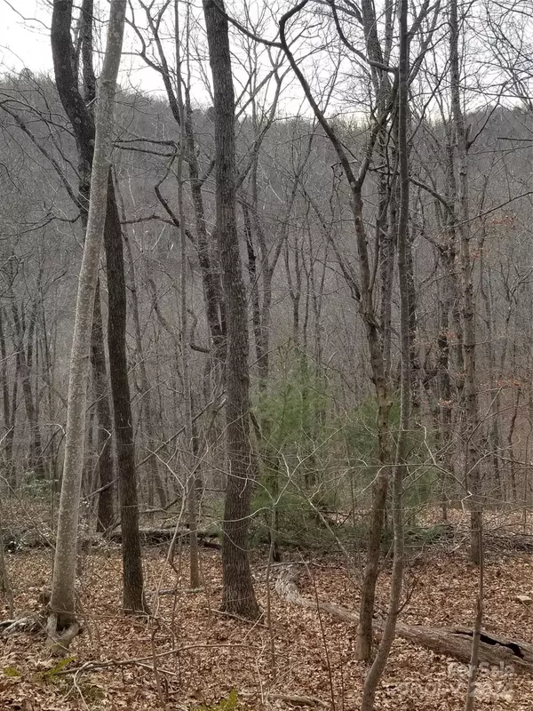 Saluda, NC 28773,Lot 30 Bobcat TRL