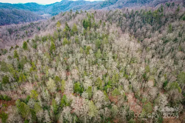 Collettsville, NC 28611,00 Collettsville RD