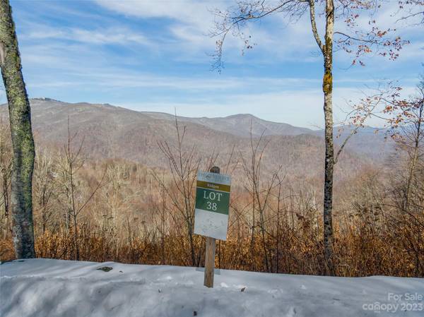 Lot 38 Black Bear RUN, Mars Hill, NC 28754