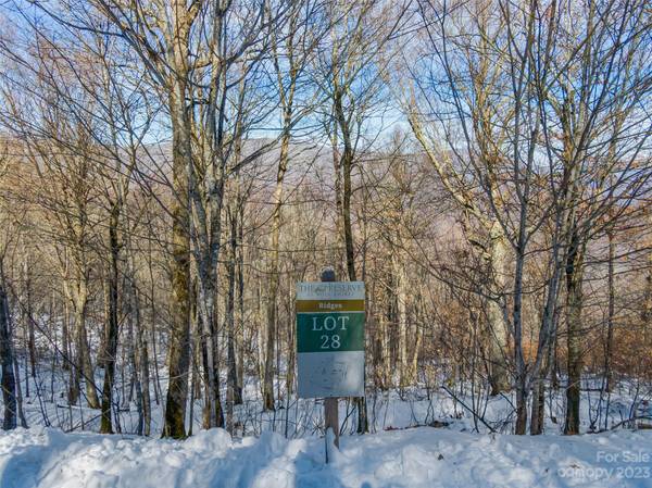 Lot 28 Black Bear RUN, Mars Hill, NC 28754