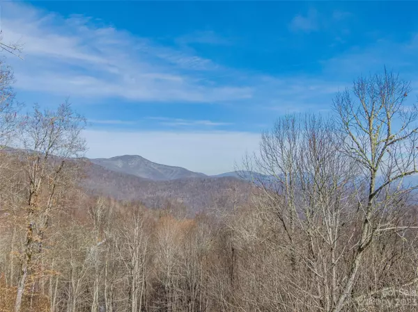 Mars Hill, NC 28754,Lot 42 Black Bear RUN