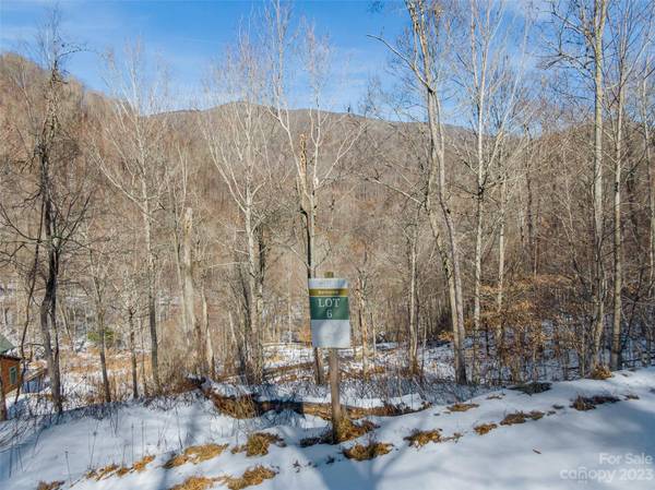 Lot 6 Settlement WAY, Mars Hill, NC 28754