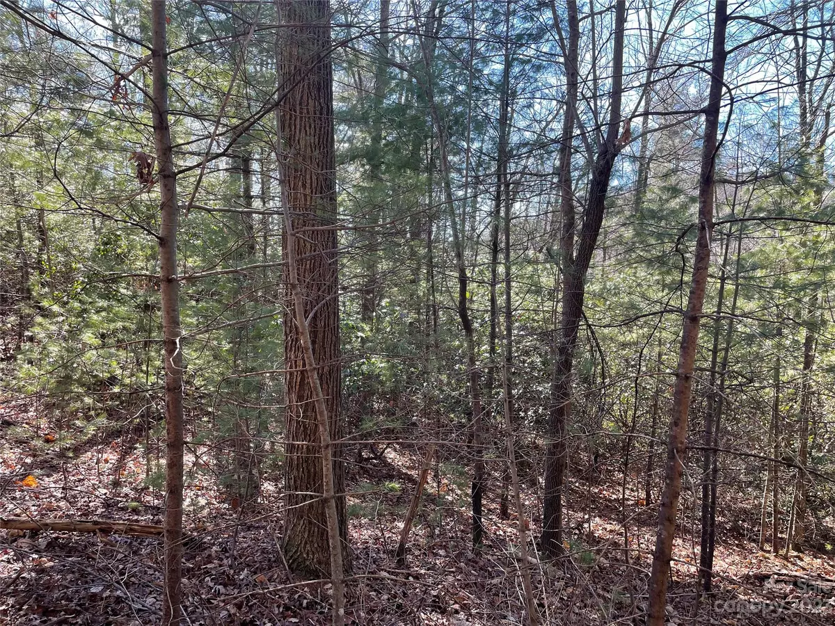 Zirconia, NC 28790,00 Willow Run LN #12