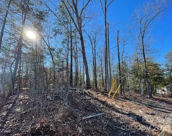 Rutherfordton, NC 28139,0 US 221n HWY