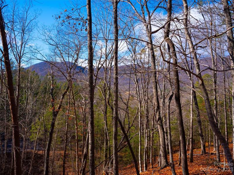 Lot 29 Deep Gap Farm RD E, Mill Spring, NC 28756