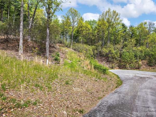 Hendersonville, NC 28739,Lot #56 Winterberry DR