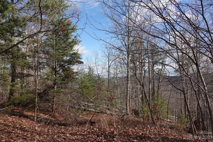 82 Longview TRL, Bostic, NC 28018