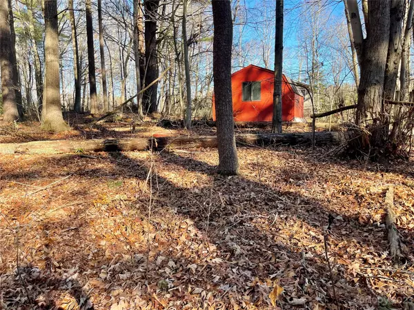 Mills River, NC 28759,9999 Blackberry LN #4