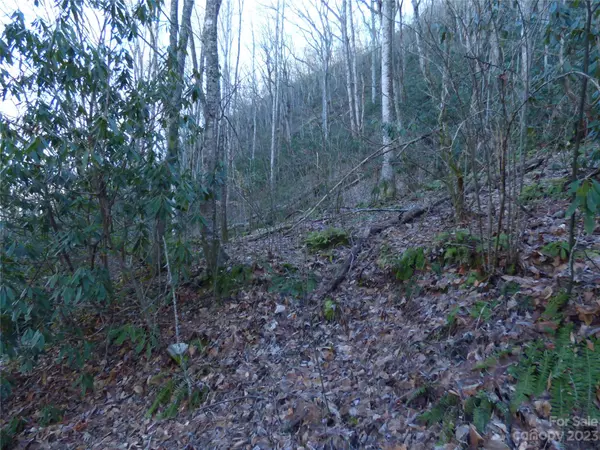 Sylva, NC 28779,000 Lori LN #H7, H8