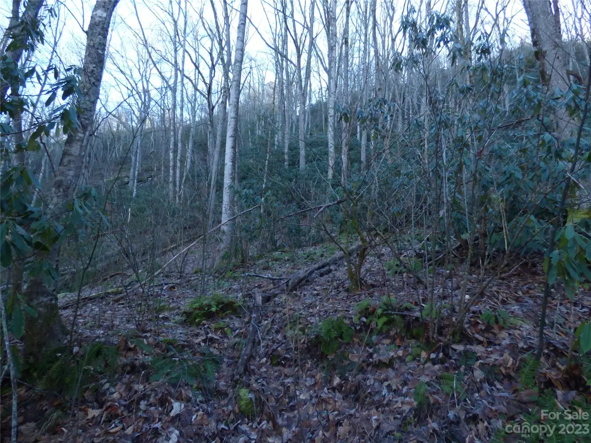 Sylva, NC 28779,000 Lori LN #H7, H8
