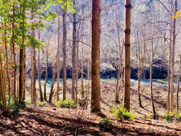 11.4 acres, Lot 739, 6129 Painted Ridge TRL #Lot 739, Lenoir, NC 28645