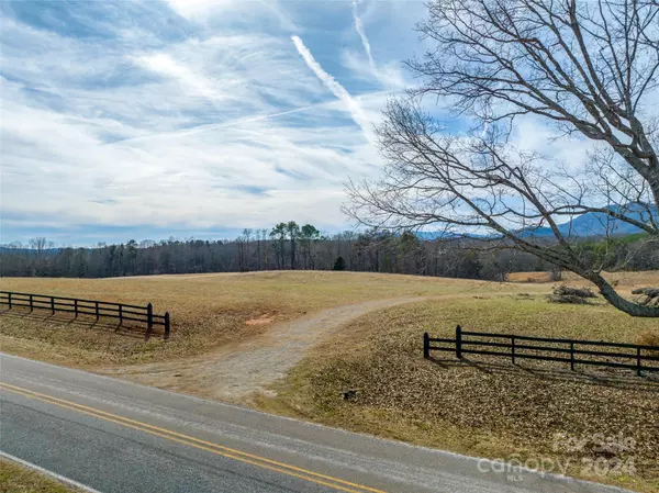 Mill Spring, NC 28756,Lot 48.2 A R Thompson RD