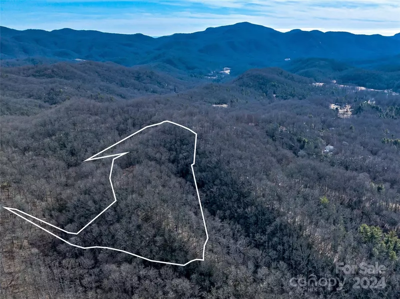 99999 Flat Creek RD, Fairview, NC 28730