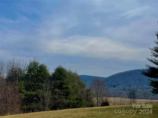 Brevard, NC 28712,Lot 33 Dover LN #33