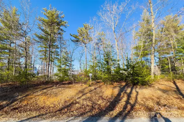 Marion, NC 28752,Lot #45 Fox Ridge TRL