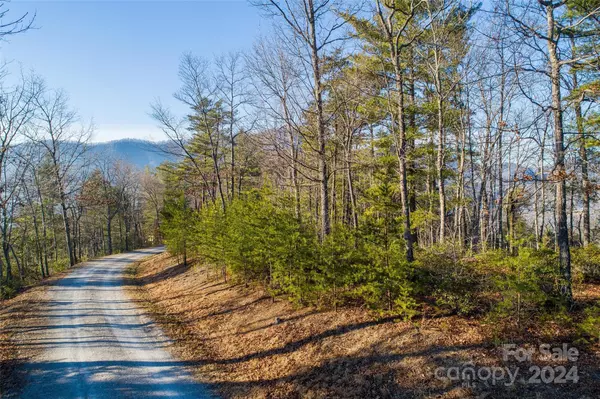 Marion, NC 28752,Lot #45 Fox Ridge TRL