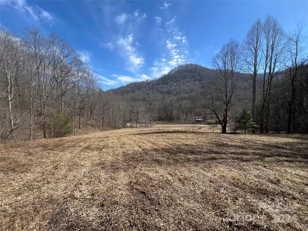 Hot Springs, NC 28743,7374 Meadow Fork RD