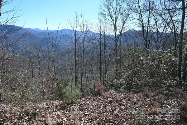 Sylva, NC 28779,00 Longview RDG #72