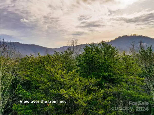 Hendersonville, NC 28792,53 Sunny Morning CT