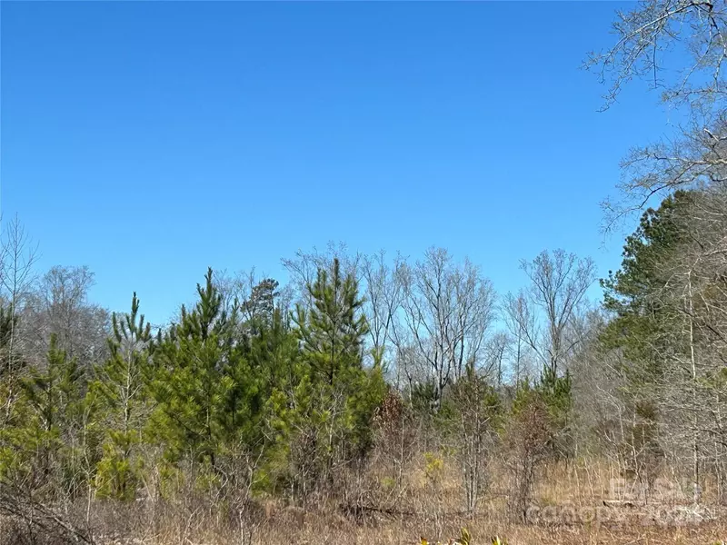 9.3 AC -Lot 7 Buffalo Creek RD, Kershaw, SC 29067