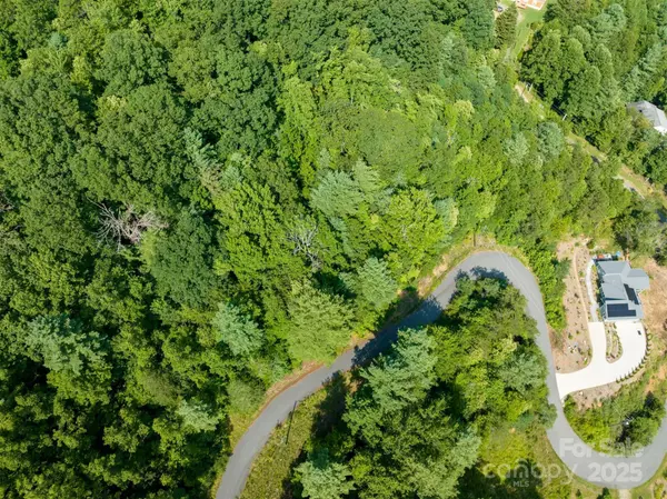 Asheville, NC 28803,Lot 5 Autumn Trail LN