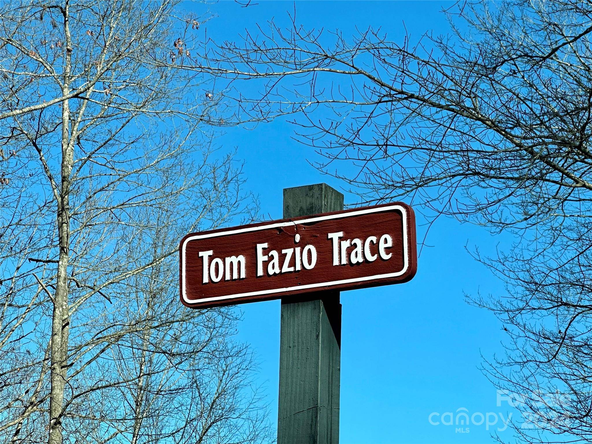 Hendersonville, NC 28739,204 Tom Fazio TRCE #322