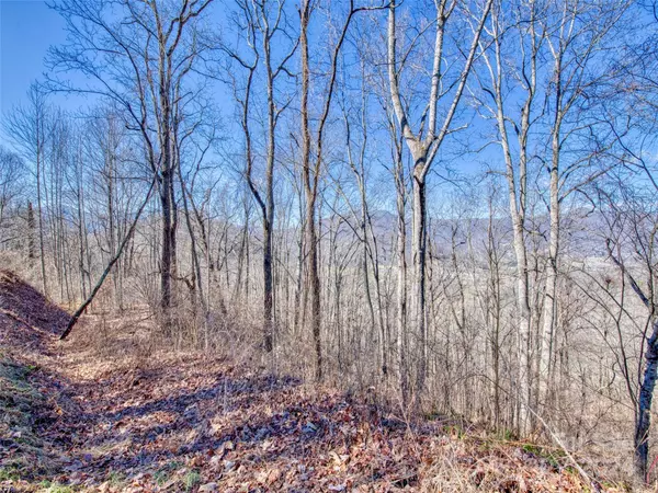 Waynesville, NC 28785,114 Trails End LN