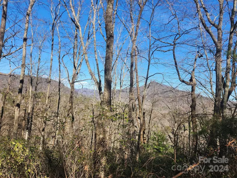 Lot 88 Bolt RD, Lake Lure, NC 28746