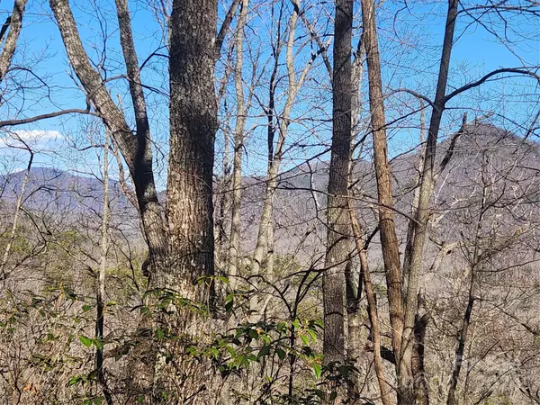 Lake Lure, NC 28746,Lot 88 Bolt RD