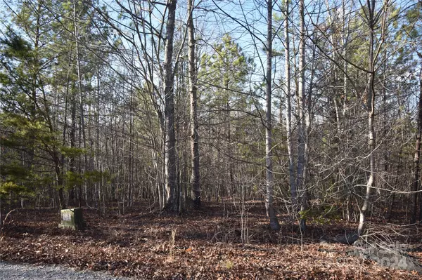 Nebo, NC 28761,Lot 74 Tayberry DR