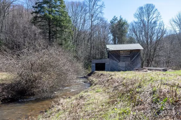 Mars Hill, NC 28754,2626 Puncheon Fork RD