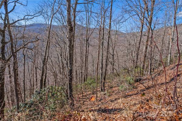 Black Mountain, NC 28711,99999 Wedgewood TER #941