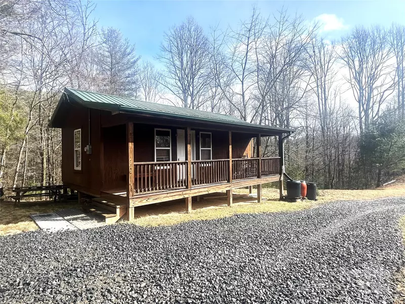 289 Bailey Settlement RD, Green Mountain, NC 28740