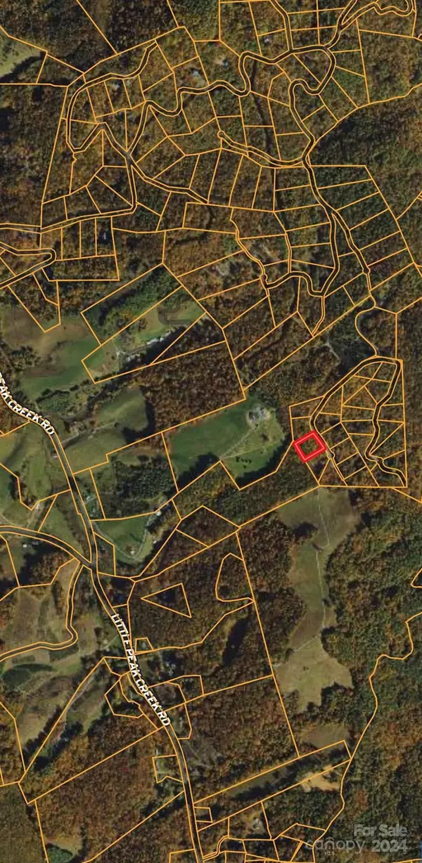 Jefferson, NC 28640,1.013 acres on Free Bird DR #8