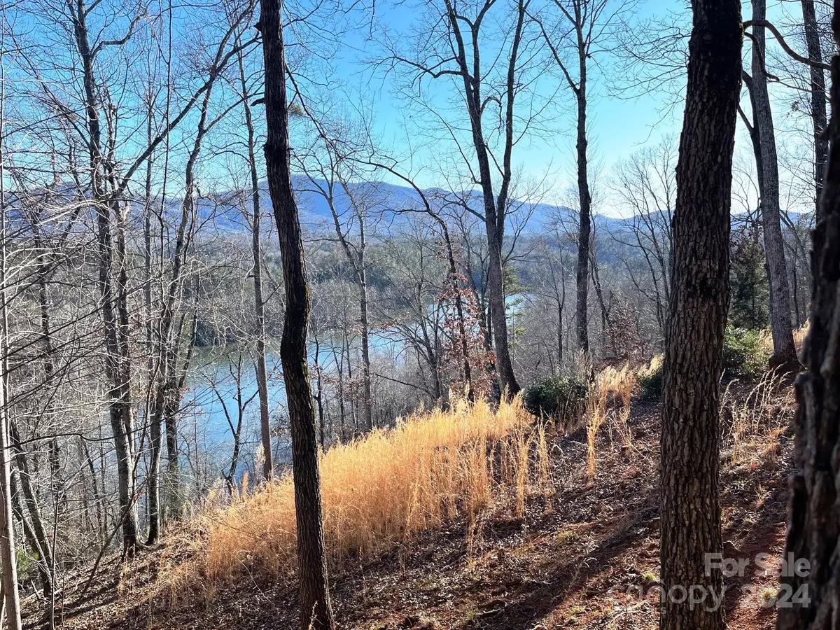 Mill Spring, NC 28756,Lot 30 Mountain Pkwy