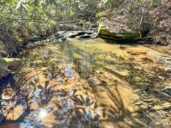 Saluda, NC 28773,0000 Rixhaven DR #Lot 6 & 6a