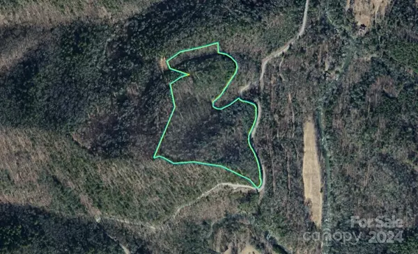00 NC 209 HWY, Hot Springs, NC 28743