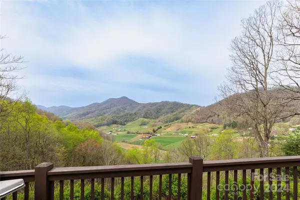 Leicester, NC 28748,110 Coyote Springs Farm RD