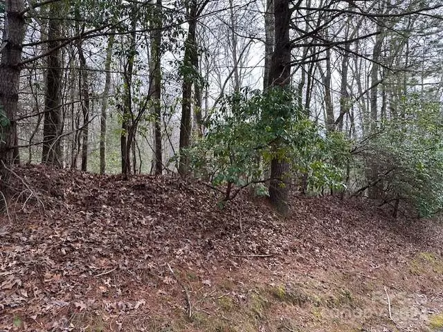 TBD Dotsuwa CT #L130&131-U26, Brevard, NC 28712